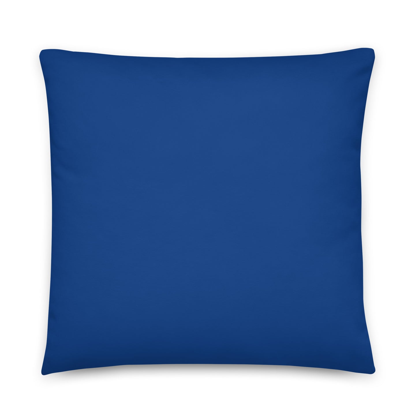 back 3 - Van Gogh Basic Pillow – Irises in Bloom for Artistic Spaces