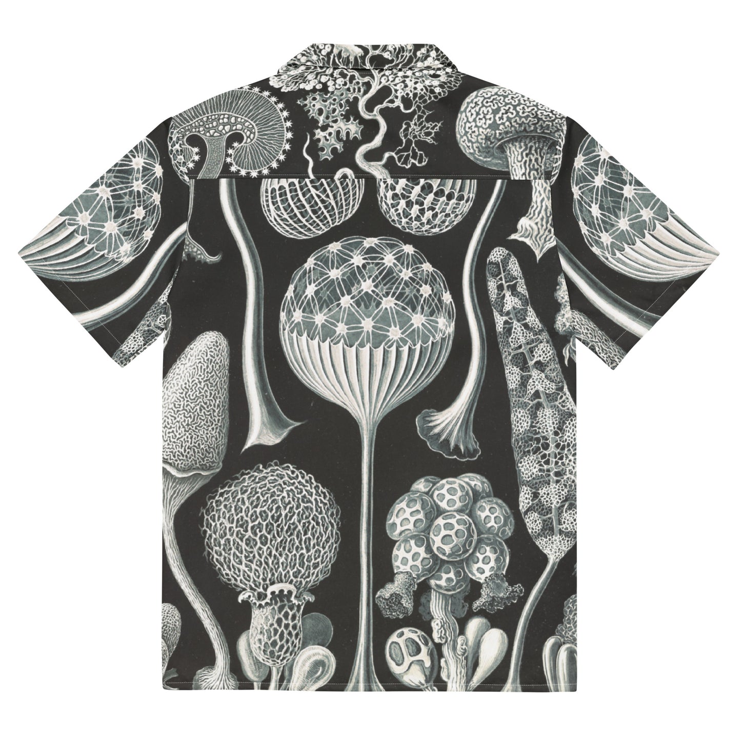 back - Haeckel Life Unisex Button Shirt – Celebrating Artful Nature