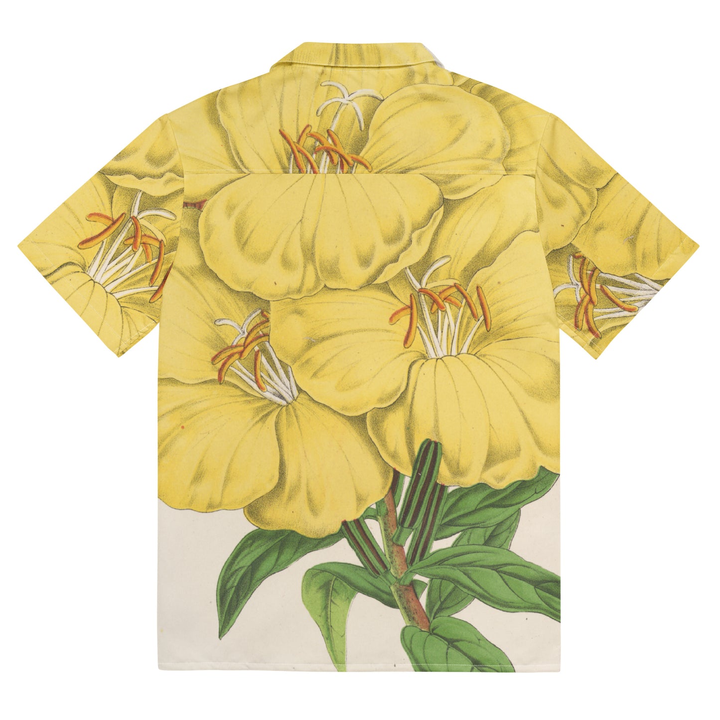 Back - Floral Masterpiece Button Shirt – Unisex Wear for Art Enthusiasts
