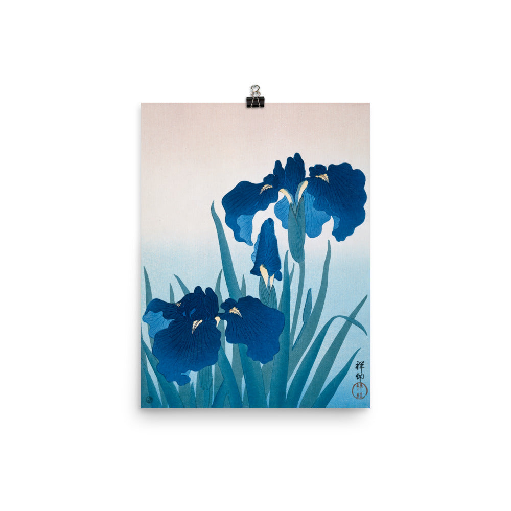 Size 2 - Ohara Koson Irises Poster – Elegant Japanese Woodblock Print