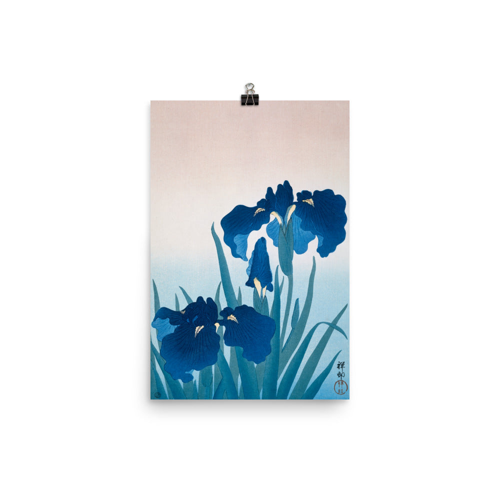 Size 3 - Ohara Koson Irises Poster – Elegant Japanese Woodblock Print