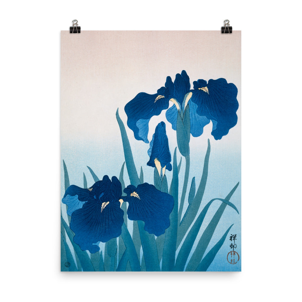 Size 5 - Ohara Koson Irises Poster – Elegant Japanese Woodblock Print