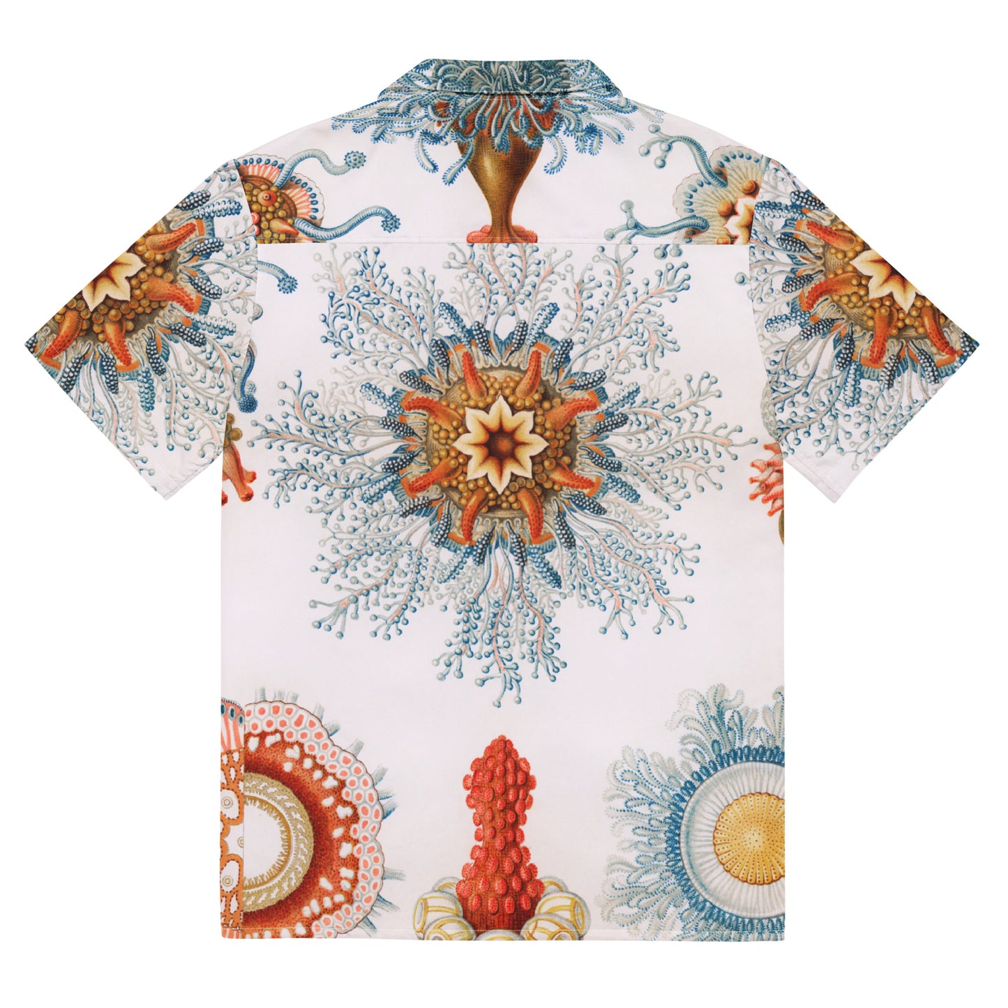 Back - Haeckel Biology Unisex Button Shirt – Where Science Meets Art