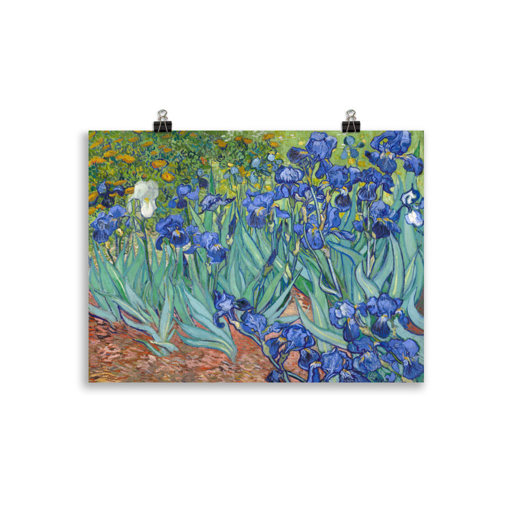 Size 3 - Van Gogh Irises Poster – Vibrant Floral Post-Impressionist Art Print