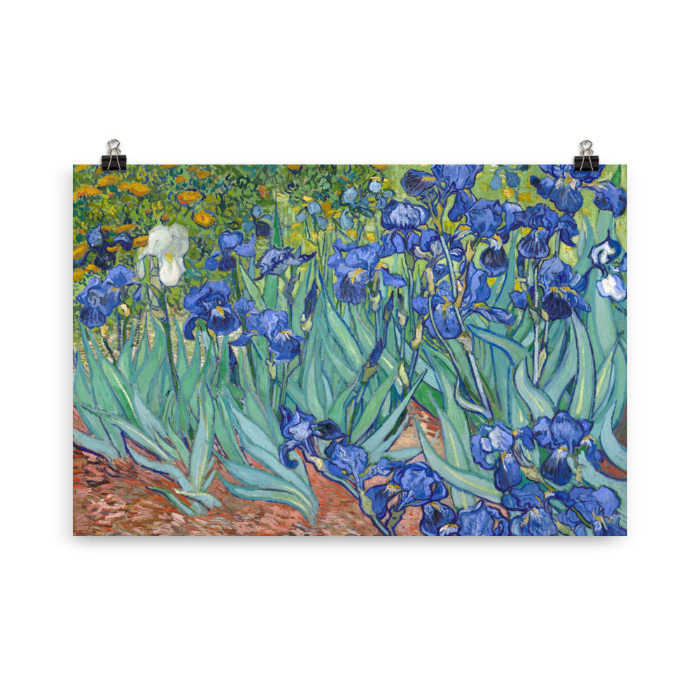 Size 5 - Van Gogh Irises Poster – Vibrant Floral Post-Impressionist Art Print
