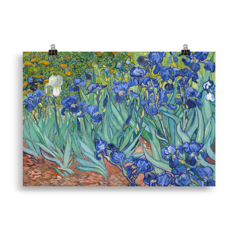 Size 1 - Van Gogh Irises Poster – Vibrant Floral Post-Impressionist Art Print