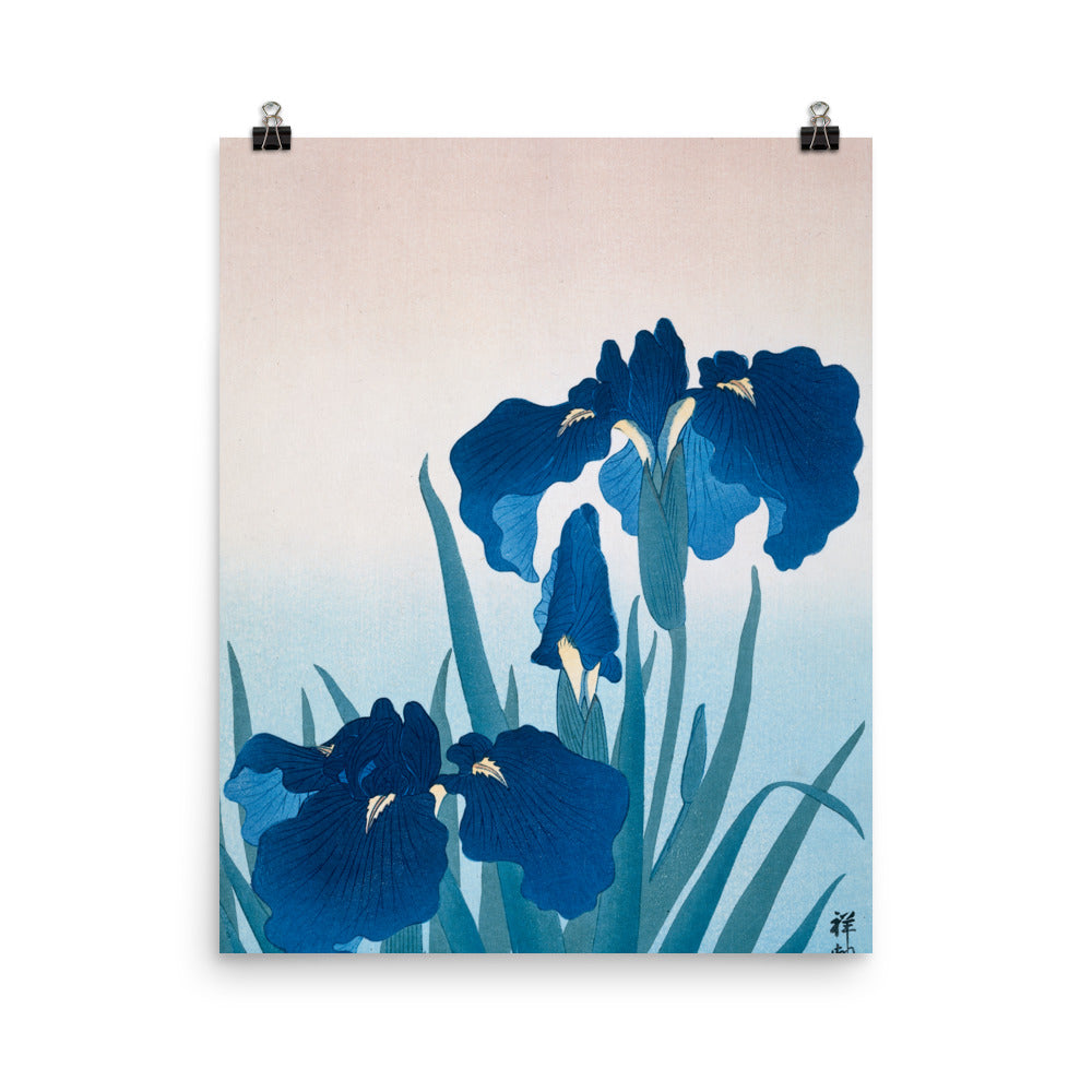 Size 4 - Ohara Koson Irises Poster – Elegant Japanese Woodblock Print